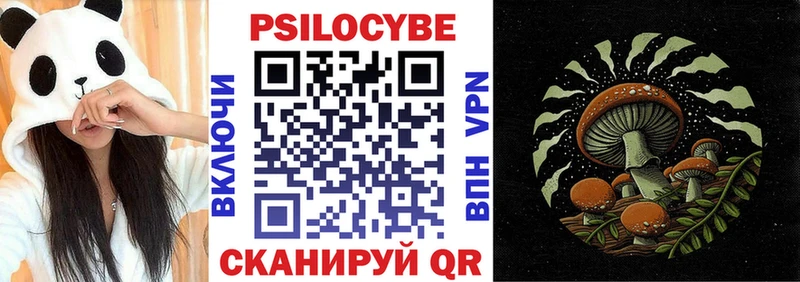 Псилоцибиновые грибы Psilocybine cubensis  Купить  Гаврилов-Ям 